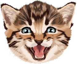 Nyaw!